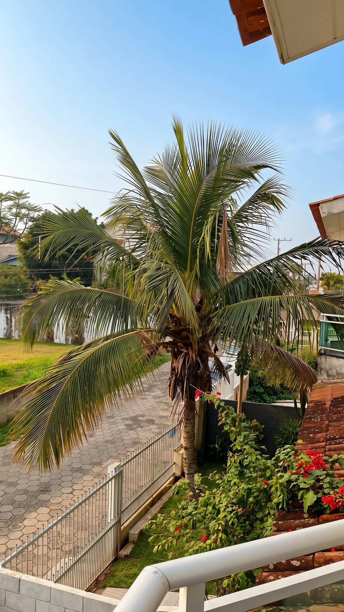 Vista da varanda